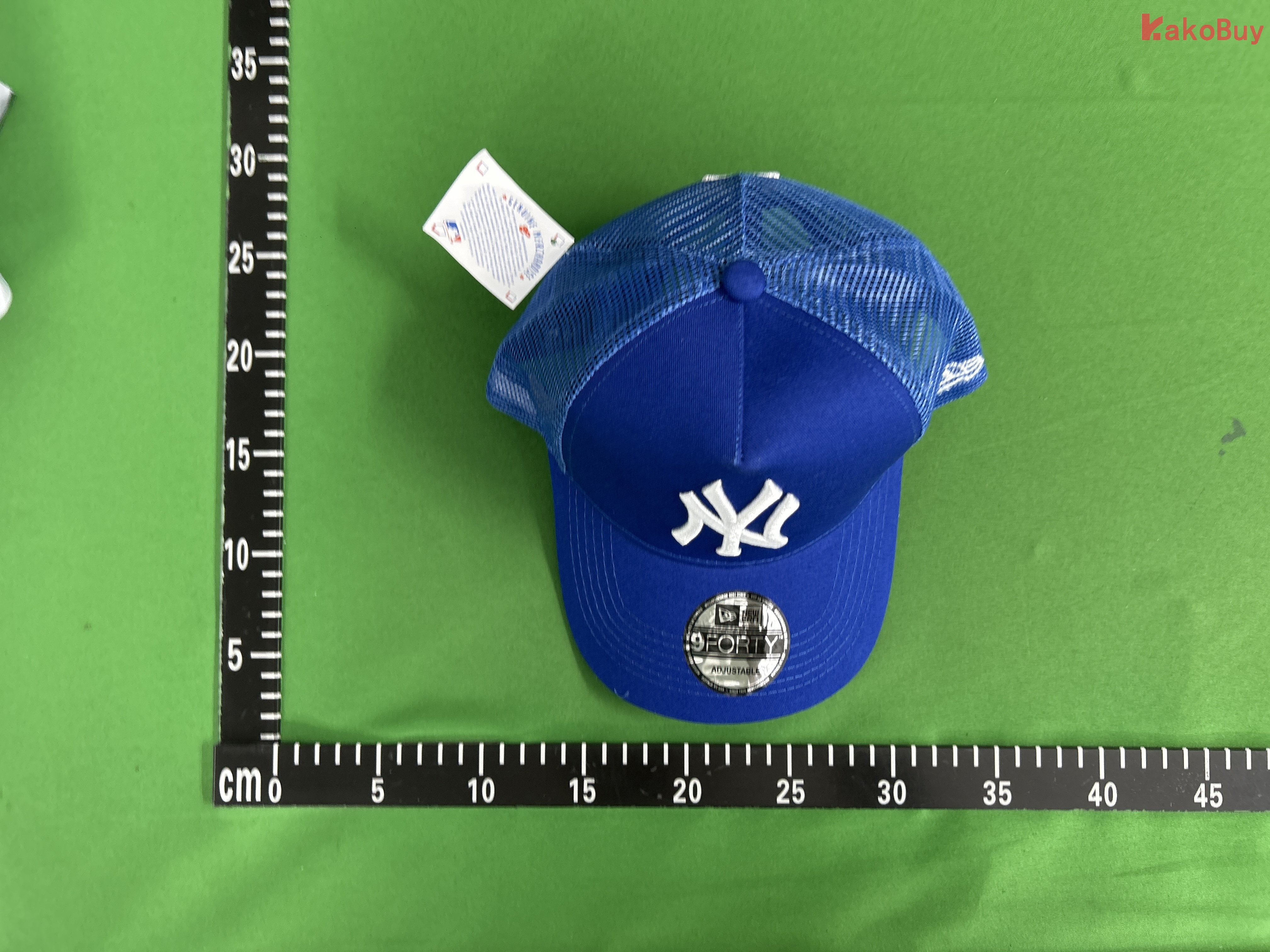 31